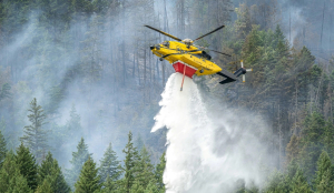 Trump blames Canada for wildfire smoke, threatens additional tariffs over pollution costs