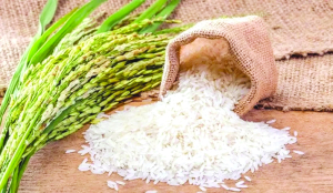 Turkey, Jordan become new growth frontiers for Indian rice exporters