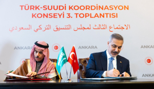 Turkish FM cites 'serious attacks' on Saudi sovereignty, offers military support