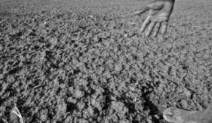 Twenty-five more Karnataka taluks may be declared drought-hit