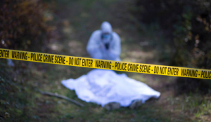 Two arrested for murder of woman whose dismembered body was found in train