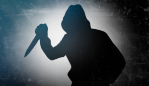 Two brothers arrested after woman dies following stabbing in Bengaluru