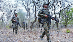 Two more Naxalites killed in Gadchiroli operation
