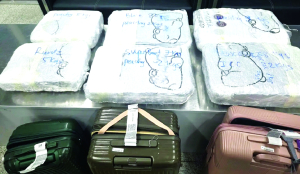 Two Thai nationals arrested at IGI Airport with weed worth Rs 48 crore