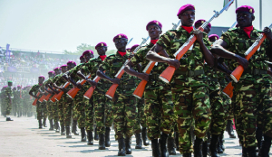 Uganda, Burundi officials visit Israel to discuss Gaza troop deployment