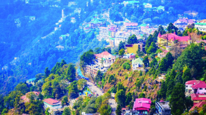 Undoing missed forest reforms