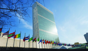 United Nations weighs in on Delhi demonstration
