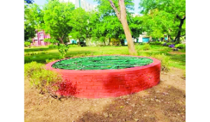 Universities, sustainability and the idea of self-reliance