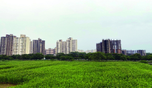 UP Govt approves Rs 943 cr seed capital for Ghaziabad’s Harnandipuram Scheme