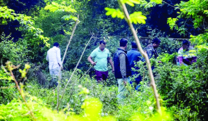 Urban forests store carbon worth Rs 4 lakh/hectare: Study