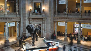 US to return ancient sculptures to India