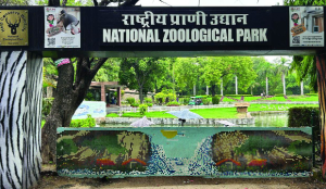 UV bulbs, special diet to keep animals warm at Delhi zoo