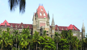 Vadhvan Project: Bombay HC clears mangrove removal