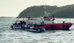 Vietnam Boat Tragedy: 14 victims were lava mobiles channel partners, company mourns loss