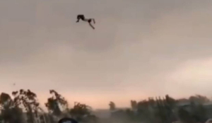 Viral video shows man lifted into air during deadly Uttar Pradesh storm