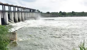 Vishnupuri dam reaches 97 % capacity amid heavy rains; 1 gate to be opened to discharge water