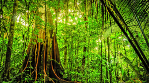 War, warming, and the race to an overheated planet