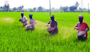 Weak monsoon may impact rural demand: RBI Governor