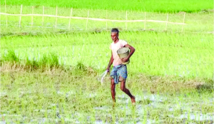 Weak monsoon may lift soluble fertiliser demand; price remains bigger risk: SFAI