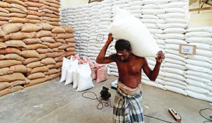 West Asia crisis hits rice exports from MP districts