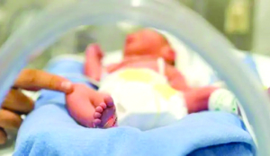 West Bengal Govt probes 60 infant deaths in three weeks