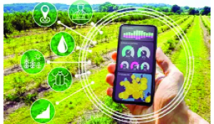 When algorithms enter the field: What AI means for India’s small farmers