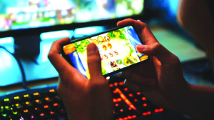 When skill becomes crime: How PROGA criminalises professional excellence