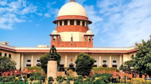 When welfare turns into freebies