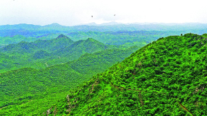 Why the Supreme Court’s scrutiny of Haryana’s Zoo Safari matters