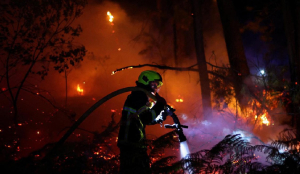 Wildfires in France drive 2.5 lakh people from their homes