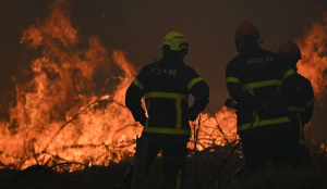 Wildfires in France drive 250,000 people from their homes, creep toward wine city