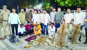 Wildlife SOS denies ties to arrested wildlife traders