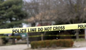 Woman, 20, kills grandfather with cricket bat, alleges past harassment