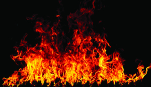 Woman charred to death in Badarpur