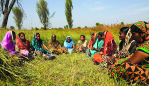Women Farmers Empowerment Bill introduced in Maharashtra