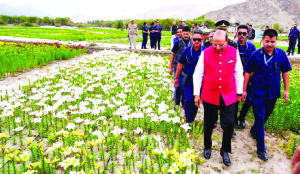 World’s highest flower fields opened in Leh