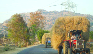 World Rural Development Day 2026: VB-GRAMG marks new chapter in rural transformation