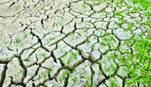 Worsening El Nino threatens Asia with drought, higher food prices