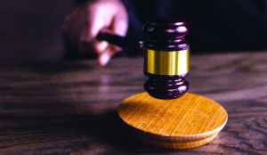 Writ jurisdiction not for personal disputes: Delhi High court