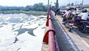 Yamuna pollution up at 3 sites, BOD above limit
