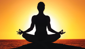Yoga 365 launched to make yoga integral part of lives