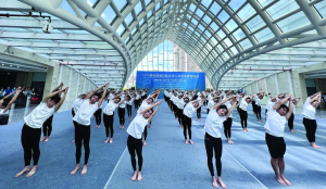 Yoga and martial arts show India-China connect: Official
