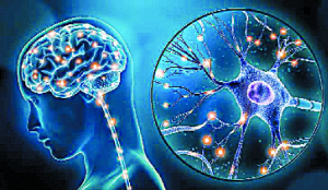 Yoga sutra, Neuroplasticity and Cognitive Behavioral Therapy - A Continuum