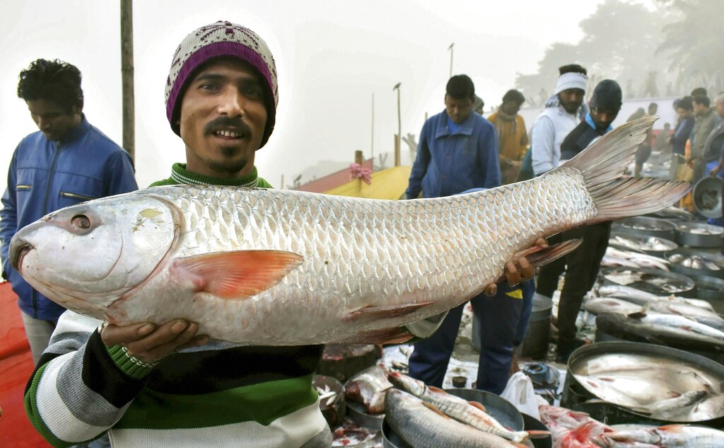 A man displays a fish he purchased from a fish market on the eve of Uruka -- the annual festival of feast, at Uzan Bazar in Guwahati - PTI